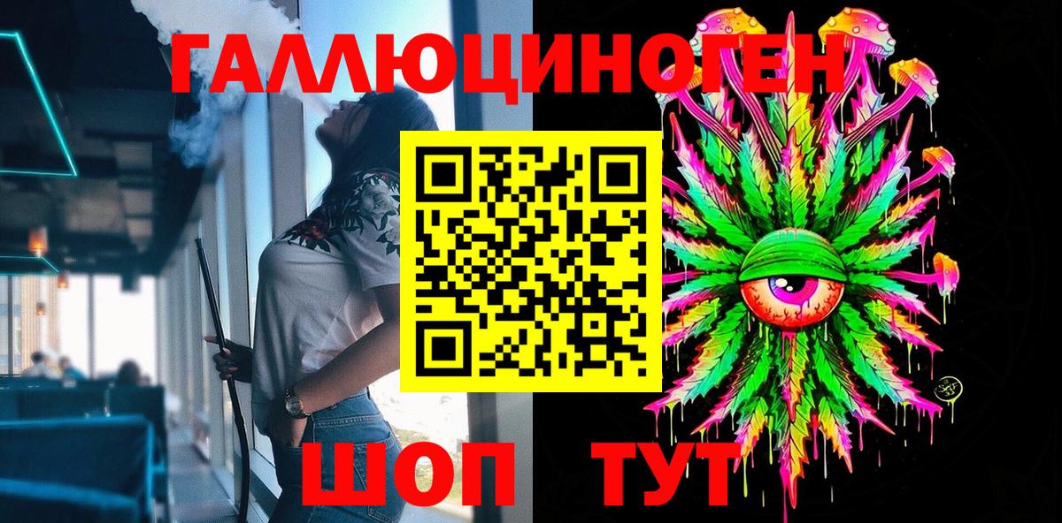 Псилоцибиновые грибы Psilocybine cubensis Заволжье